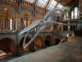Luftreiniger und Luftbefeuchter im Museum